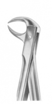  Fig. 86B lower molars 